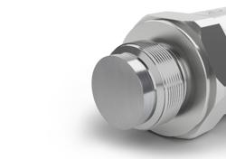 TPFADA - Frontbündiger Druckmessumformer - für hochviskose Flüssigkeiten mit Volt- oder mA-Ausgang