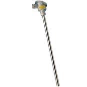 Widerstandsthermometer - Mit austauschbarem Einsatz aus MgO, verstärktes Ausgangssignal
